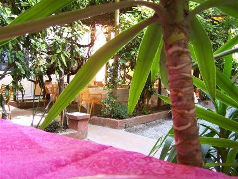 Albergo Lavagnese Lavagna Bagian luar foto